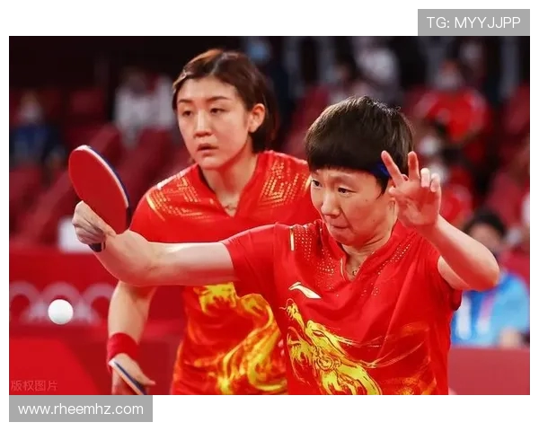 杭州排球队逆袭之路大师赛特别报道展现团队精神与拼搏历程